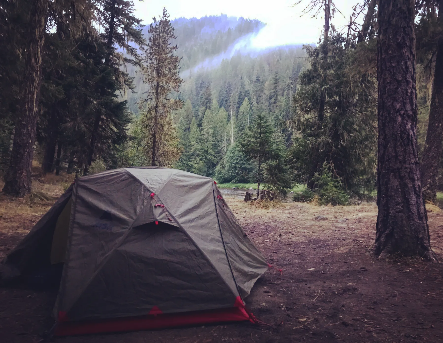 A small tent pitched in a forest campsite.