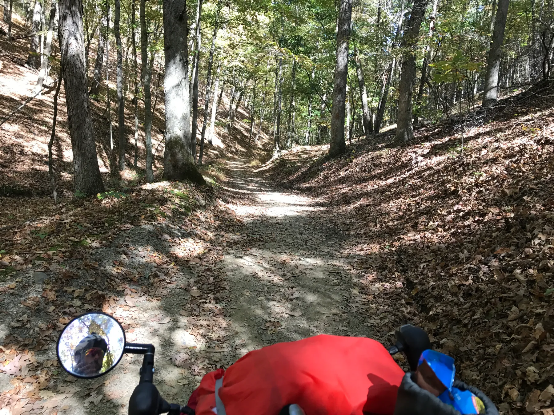 A rough wooded gravel track seen from a heavily loaded bicycle.